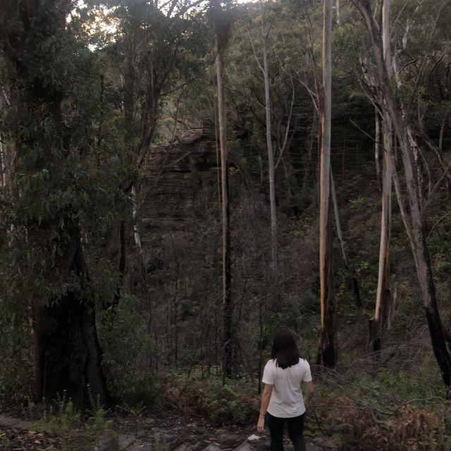 glasshouse hiking 
