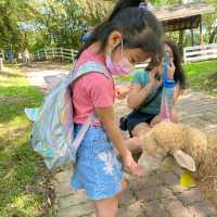 非常棒的住宿體驗【桃園復興】綠光森林民宿