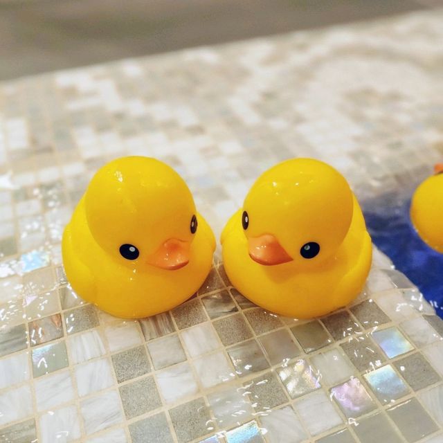 메리어트 동대문의 럭셔리한 수영장♡