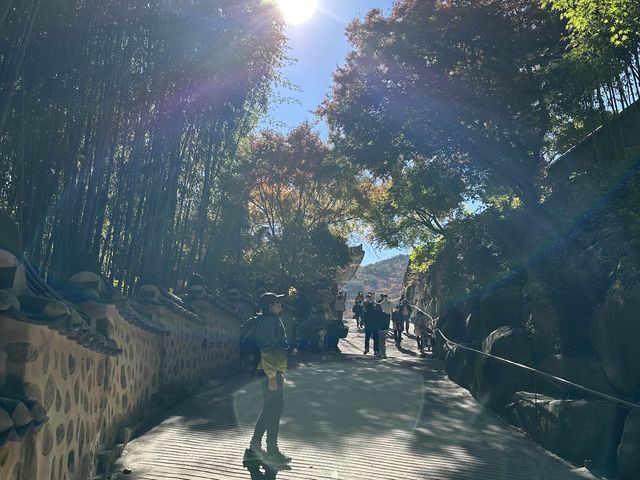 Autumn 🍂 foliage with lovely hiking trail 