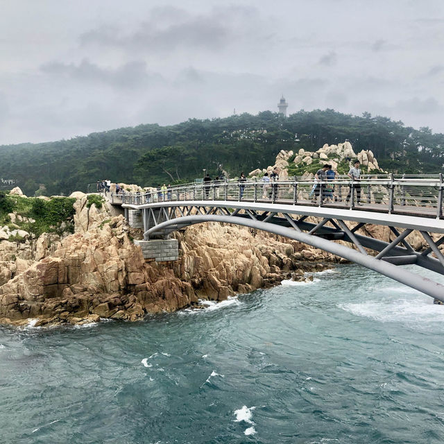 울산여행 대왕암공원 너무 멋진곳 💜 울산여행 대왕암공원 너무 멋진곳 💜