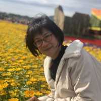 心花開//2022台中國際花毯節