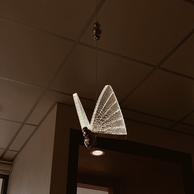 BUTTERFLY RESTAURANT @HATYAI