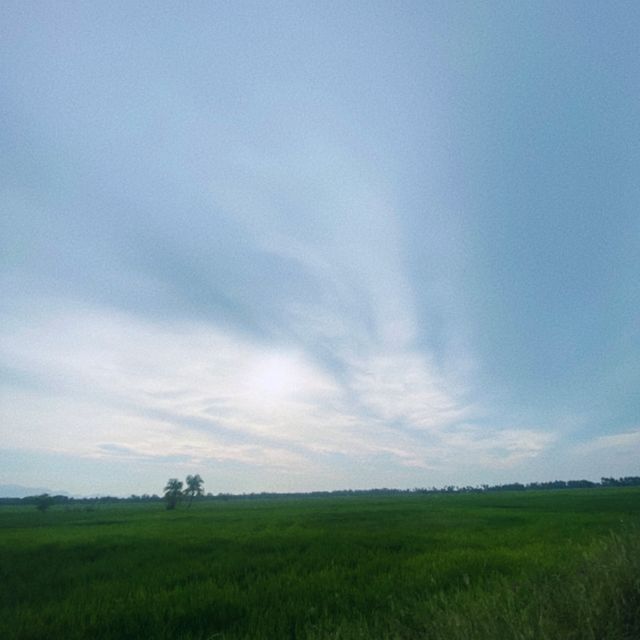 KEDAH IS AWESOME 🇲🇾🇲🇾
