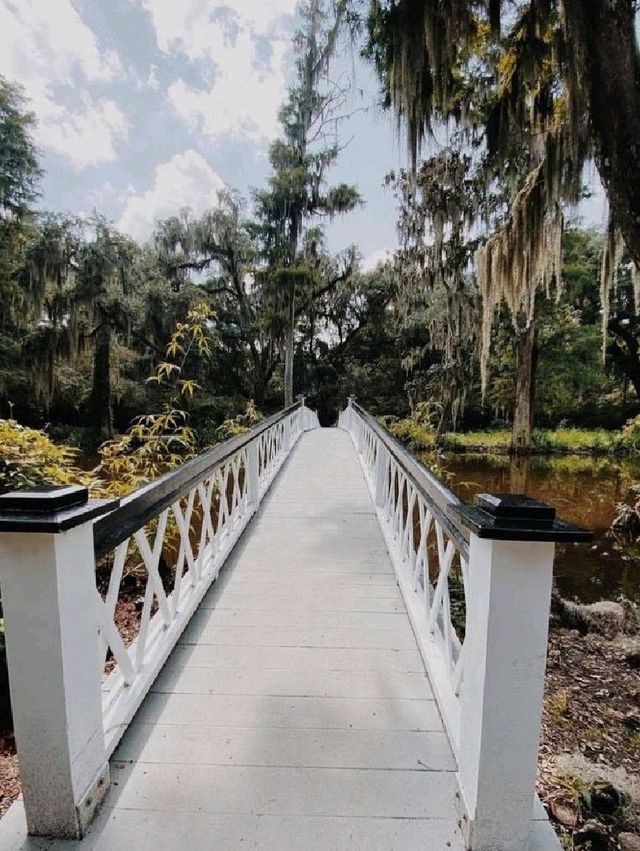 Magnolia Plantation & Gardens.