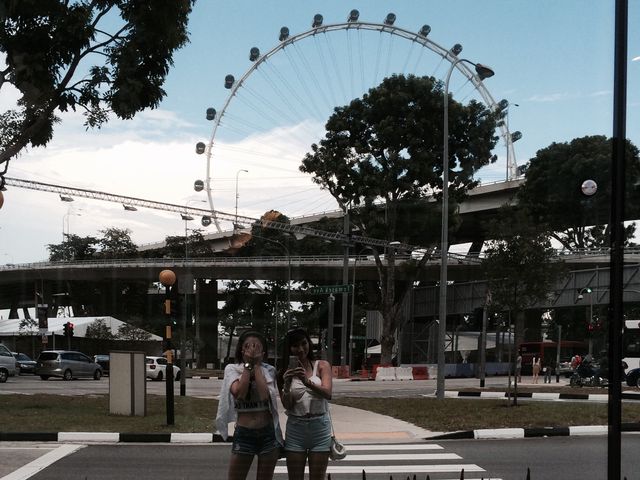 新加坡摩天輪🎡