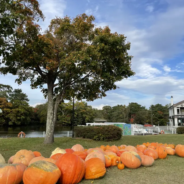 北海道　大沼国定公園