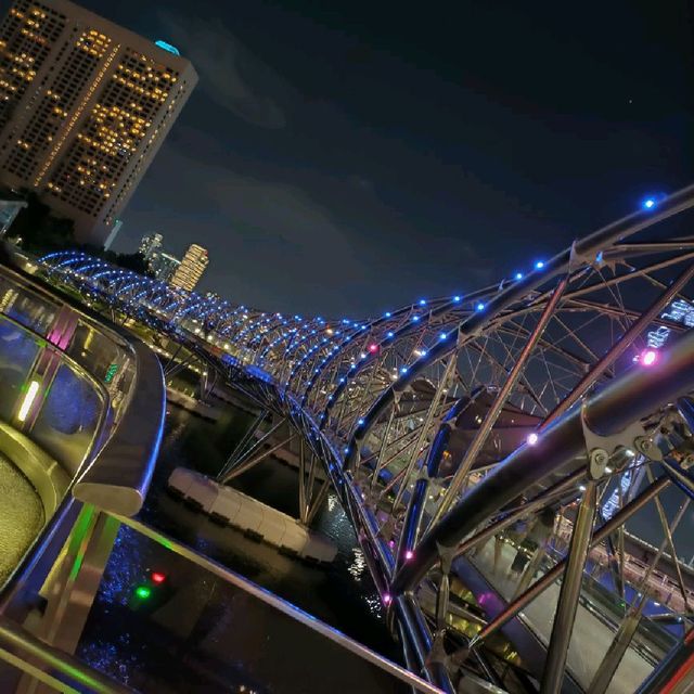 Night View from Helix Bridge