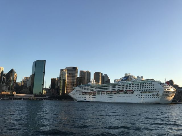 Beautiful Sydney in memories✨