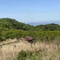無(무) 등산은 용납 못하는 풍경, 광주 무등산
