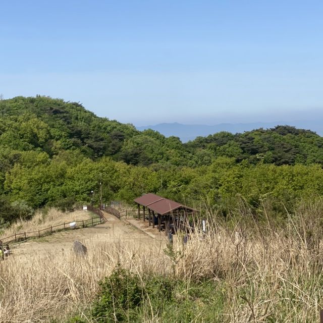 無(무) 등산은 용납 못하는 풍경, 광주 무등산