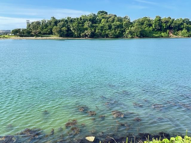 Keppel Bay & Labrador Nature Park