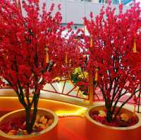 apm 春花金虎迎新歲