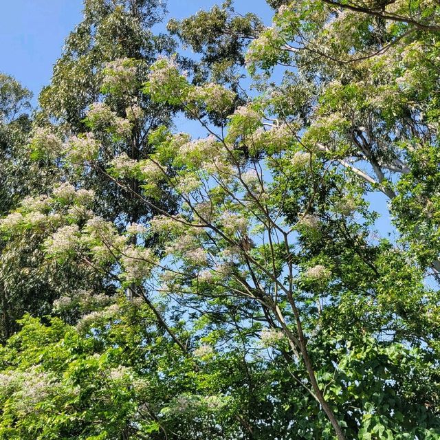 春遊好去處 ～ 南生圍 