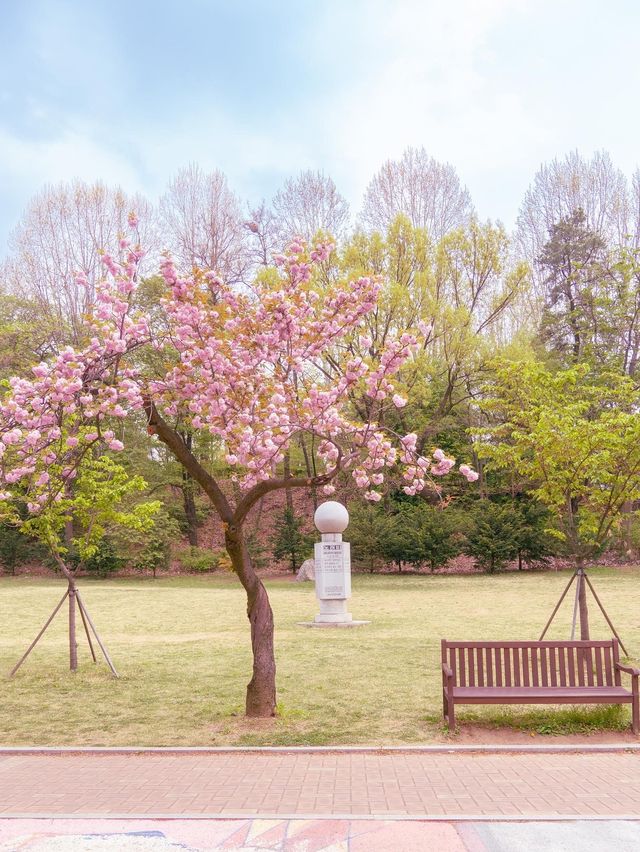 겹벚꽃 명소, 어린이대공원