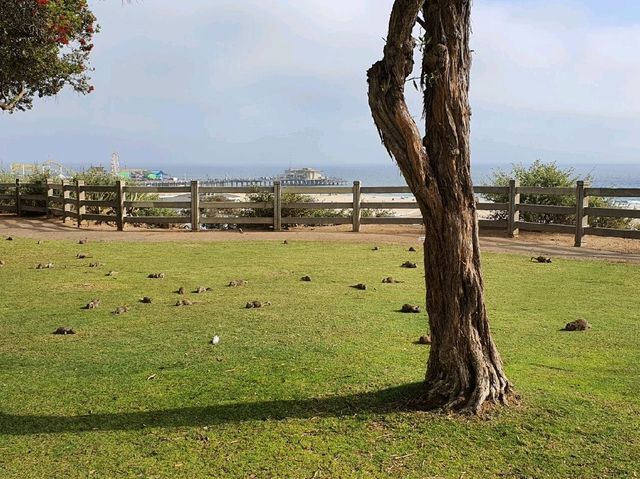 Santa Monica Veterans Memorial