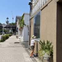 まるで海外おしゃれな街並みの日本大通り