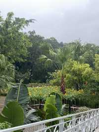大埔湖景打卡餐廳