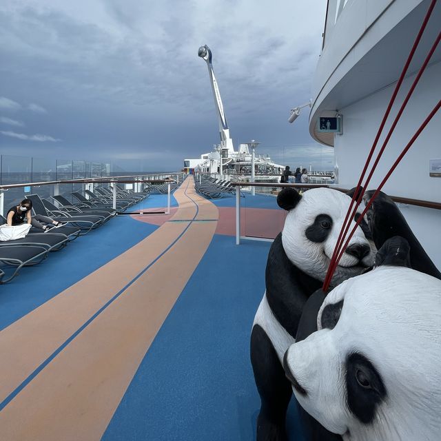 🚢 🐼 Panda on board 