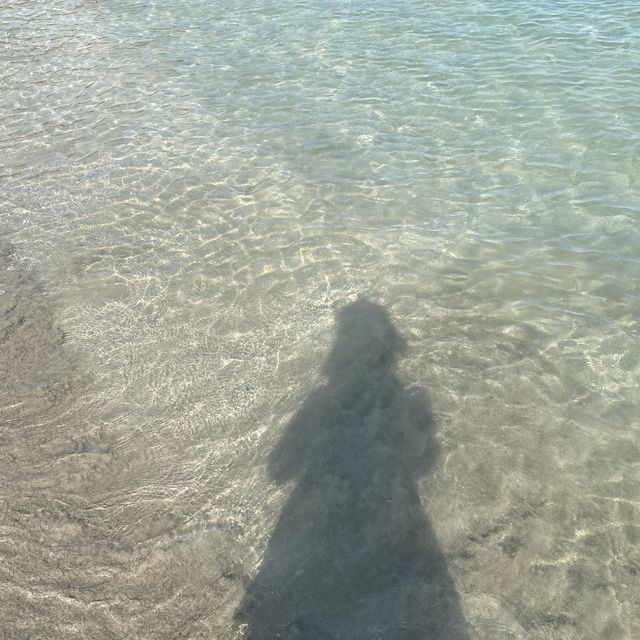 남해 스노쿨링 스팟🤿 설리해수욕장⛱