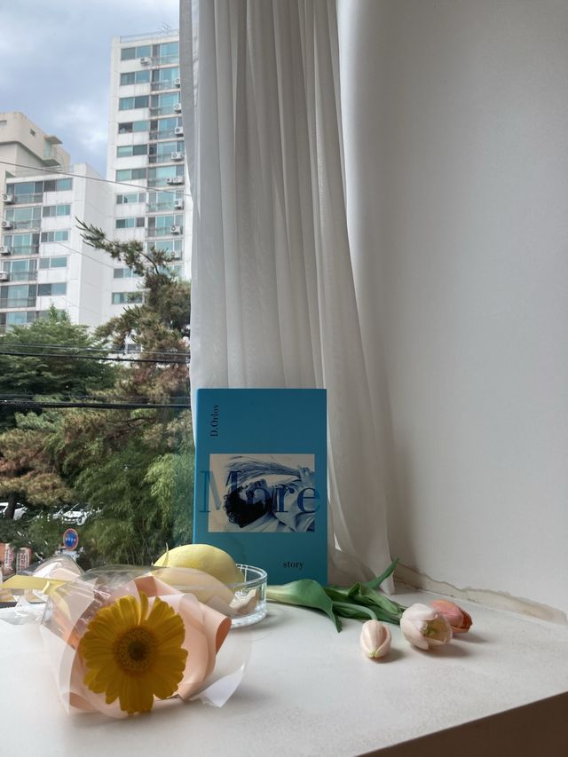 이쁜 케이크가 한 가득, 노원 시즌🍒