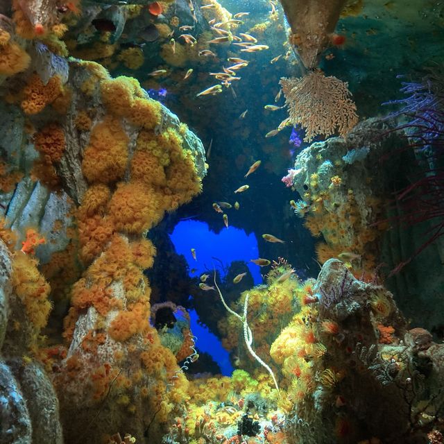 【池袋】サンシャイン水族館