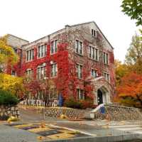 Yonsei University colours of fall