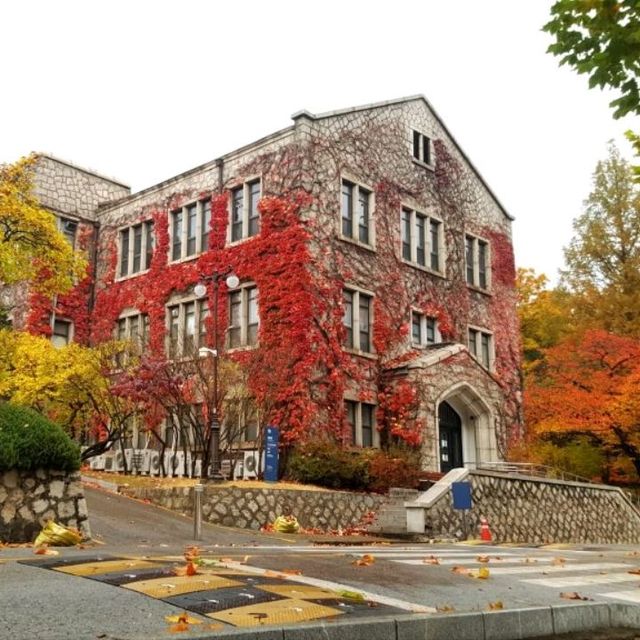 Yonsei University colours of fall