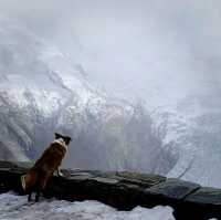 The Town Of Zermatt