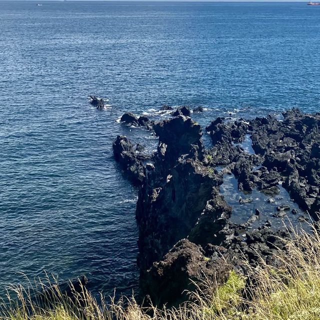 제주도자전거일주🏝️첫목적지 용두암
