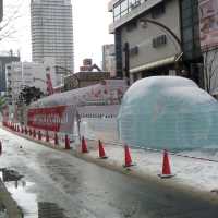 세계 3대 겨울축제중 하나인 삿포로 유키마츠리를 가보자