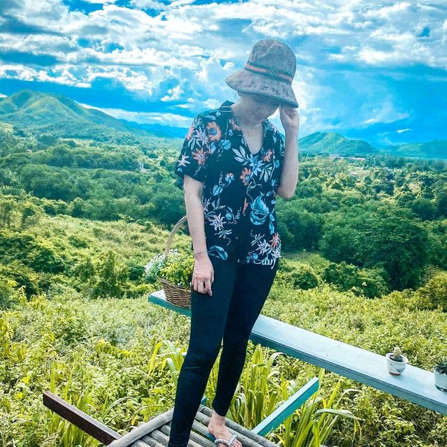 ใบไม้ใบหญ้าค่าเฟ่