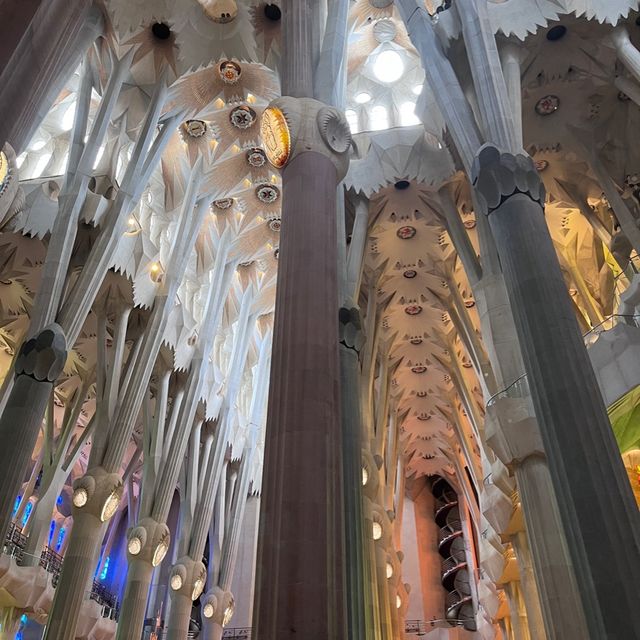 Sagrada Familia - grandest church in Spain