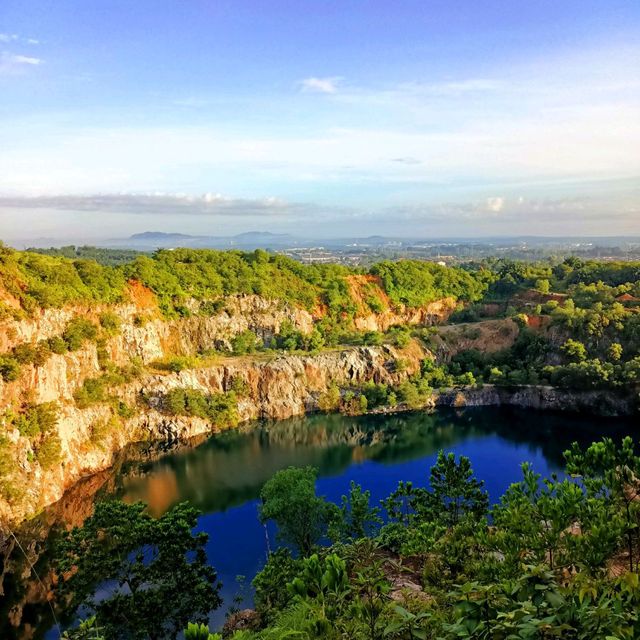 natural morning walk in palm oil plantation 