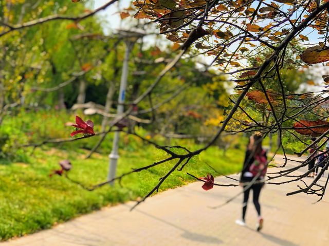 Lihu Lake Wuxi, China 无锡, 中国