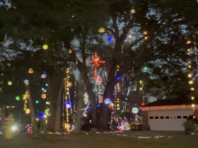 Christmas Village Light- Drive thru 