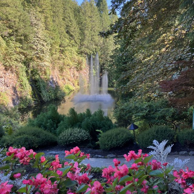 【カナダビクトリア】ブッチャートガーデンで花の都を堪能しよう