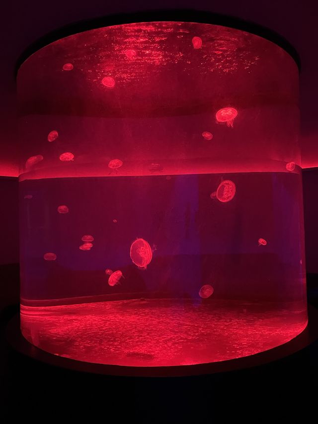 altTitle