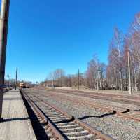 Sigulda — beautiful nature and castles 