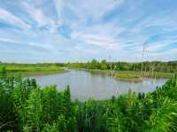 Lingang quest - Wetlands