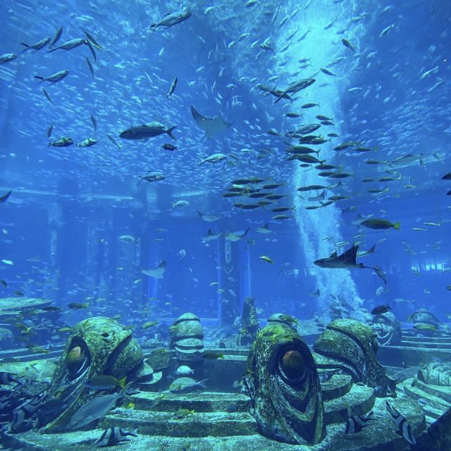 your next best destination in Sanya