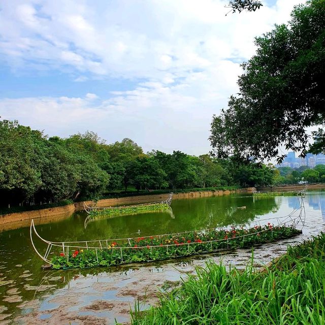 Beautiful Shenzhen Park 