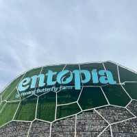 Entopia, Butterfly Farm - Penang, Malaysia 