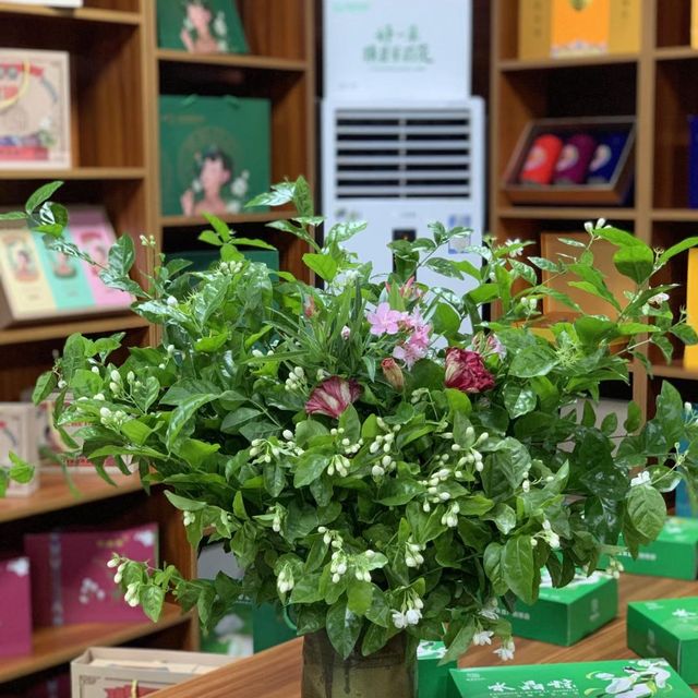 廣西南寧：中華茉莉園