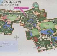 A walk in Zhongshan Park