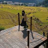 Golden Rice Terraces Oujia Village, Taibao Town, Lianshan, Yao Autonomous County, Qingyuan