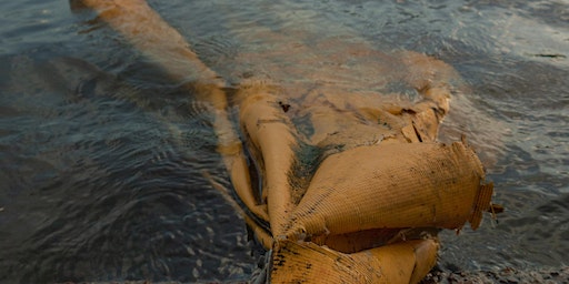"Meet the Artist" with Adrianna Ault | The Center for Photography at Woodstock