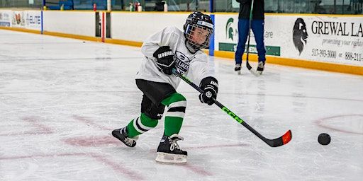 Orland Park, IL Great Lakes Hockey Camp | Arctic Ice Arena