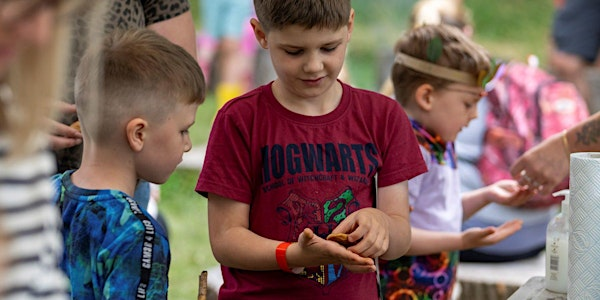 Family History Day: Archaeology | Earth Trust
