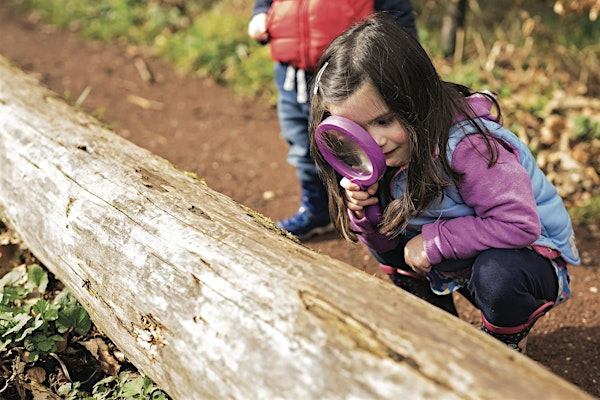 Brilliant Bug Hunt | North Cave Wetlands